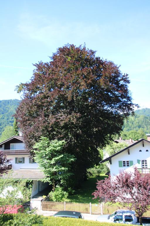 Alpen - Apartments Garmisch-Partenkirchen Exterior foto